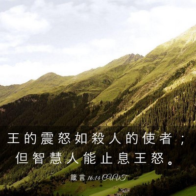 Picture 03 - 箴 言 16:14 CUVT - 王 的 震 怒 如 殺 人 的 使 者 ； 但 - Bible Verse Picture