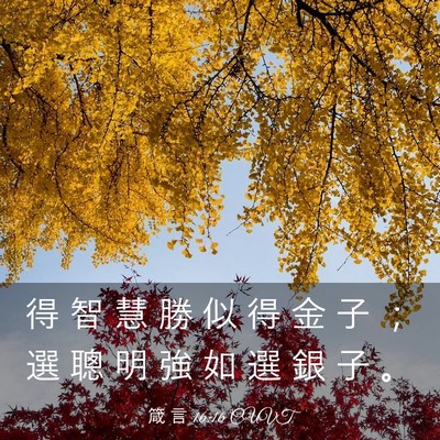 Picture 03 - 箴 言 16:16 CUVT - 得 智 慧 勝 似 得 金 子 ； 選 聰 明 - Bible Verse Picture
