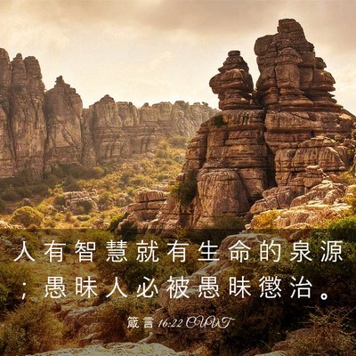 Picture 03 - 箴 言 16:22 CUVT - 人 有 智 慧 就 有 生 命 的 泉 源 ； - Bible Verse Picture