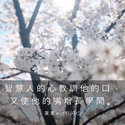 Picture 03 - 箴 言 16:23 CUVT - 智 慧 人 的 心 教 訓 他 的 口 ， 又 - Bible Verse Picture