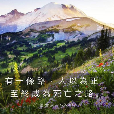 Picture 03 - 箴 言 16:25 CUVT - 有 一 條 路 ， 人 以 為 正 ， 至 終 - Bible Verse Picture