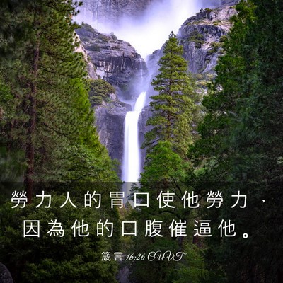 Picture 03 - 箴 言 16:26 CUVT - 勞 力 人 的 胃 口 使 他 勞 力 ， 因 - Bible Verse Picture