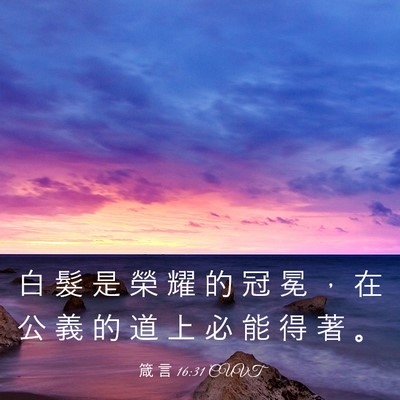 Picture 03 - 箴 言 16:31 CUVT - 白 髮 是 榮 耀 的 冠 冕 ， 在 公 義 - Bible Verse Picture