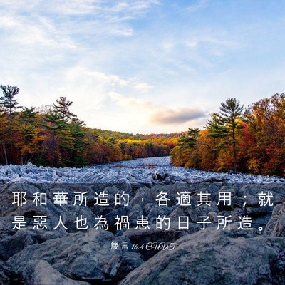 Picture 03 - 箴 言 16:4 CUVT - 耶 和 華 所 造 的 ， 各 適 其 用 ； - Bible Verse Picture