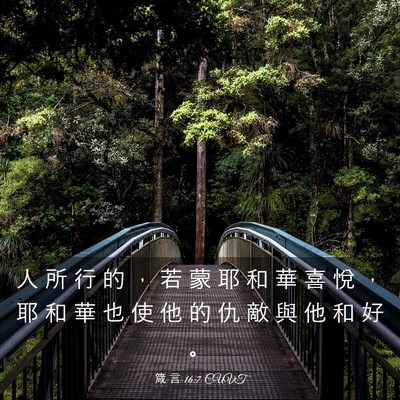 Picture 03 - 箴 言 16:7 CUVT - 人 所 行 的 ， 若 蒙 耶 和 華 喜 悅 - Bible Verse Picture