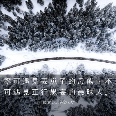 Picture 03 - 箴 言 17:12 CUVT - 寧 可 遇 見 丟 崽 子 的 母 熊 ， 不 - Bible Verse Picture