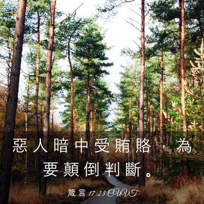 Picture 03 - 箴 言 17:23 CUVT - 惡 人 暗 中 受 賄 賂 ， 為 要 顛 倒 - Bible Verse Picture