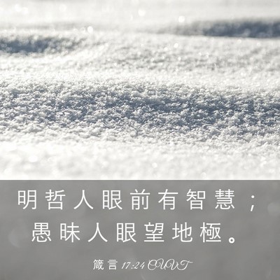 Picture 03 - 箴 言 17:24 CUVT - 明 哲 人 眼 前 有 智 慧 ； 愚 昧 人 - Bible Verse Picture