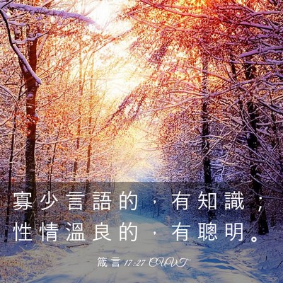 Picture 03 - 箴 言 17:27 CUVT - 寡 少 言 語 的 ， 有 知 識 ； 性 情 - Bible Verse Picture