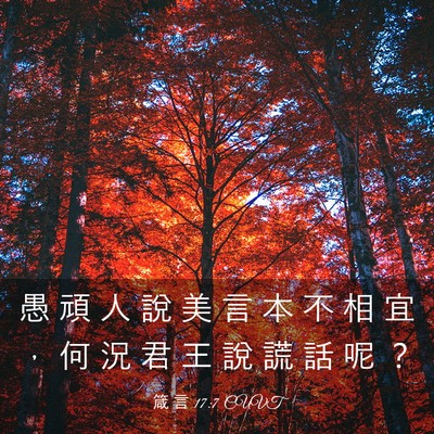 Picture 03 - 箴 言 17:7 CUVT - 愚 頑 人 說 美 言 本 不 相 宜 ， 何 - Bible Verse Picture