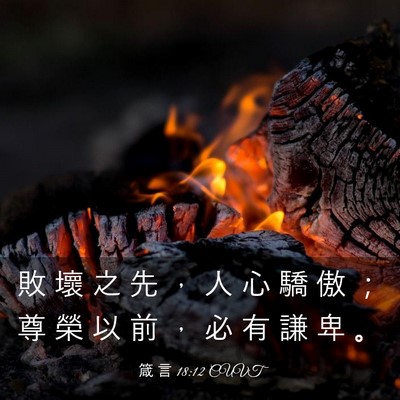 Picture 03 - 箴 言 18:12 CUVT - 敗 壞 之 先 ， 人 心 驕 傲 ； 尊 榮 - Bible Verse Picture