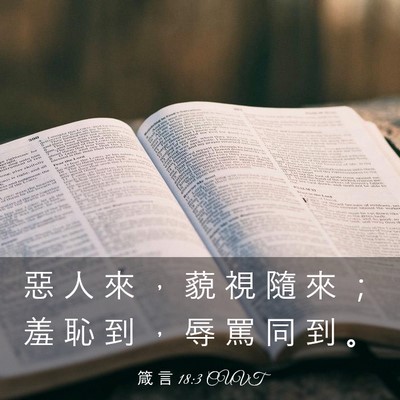 Picture 03 - 箴 言 18:3 CUVT - 惡 人 來 ， 藐 視 隨 來 ； 羞 恥 到 - Bible Verse Picture