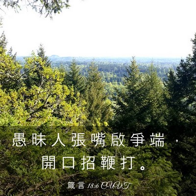 Picture 03 - 箴 言 18:6 CUVT - 愚 昧 人 張 嘴 啟 爭 端 ， 開 口 招 - Bible Verse Picture