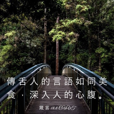 Picture 03 - 箴 言 18:8 CUVT - 傳 舌 人 的 言 語 如 同 美 食 ， 深 - Bible Verse Picture