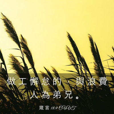 Picture 03 - 箴 言 18:9 CUVT - 做 工 懈 怠 的 ， 與 浪 費 人 為 弟 - Bible Verse Picture