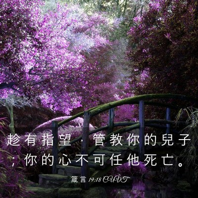 Picture 03 - 箴 言 19:18 CUVT - 趁 有 指 望 ， 管 教 你 的 兒 子 ； - Bible Verse Picture