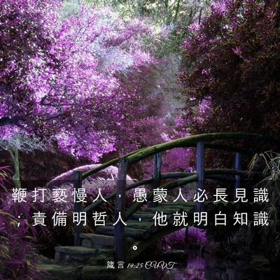 Picture 03 - 箴 言 19:25 CUVT - 鞭 打 褻 慢 人 ， 愚 蒙 人 必 長 見 - Bible Verse Picture