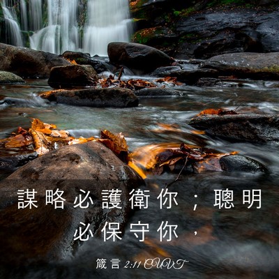 Picture 03 - 箴 言 2:11 CUVT - 謀 略 必 護 衛 你 ； 聰 明 必 保 守 - Bible Verse Picture