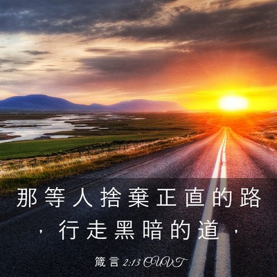 Picture 03 - 箴 言 2:13 CUVT - 那 等 人 捨 棄 正 直 的 路 ， 行 走 - Bible Verse Picture
