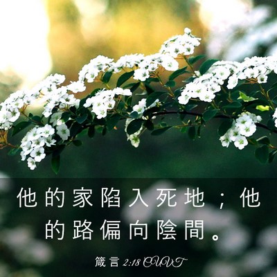 Picture 03 - 箴 言 2:18 CUVT - 他 的 家 陷 入 死 地 ； 他 的 路 偏 - Bible Verse Picture