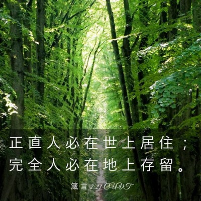 Picture 03 - 箴 言 2:21 CUVT - 正 直 人 必 在 世 上 居 住 ； 完 全 - Bible Verse Picture