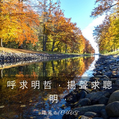 Picture 03 - 箴 言 2:3 CUVT - 呼 求 明 哲 ， 揚 聲 求 聰 明 - Bible Verse Picture