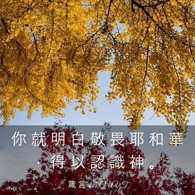 Picture 03 - 箴 言 2:5 CUVT - 你 就 明 白 敬 畏 耶 和 華 ， 得 以 - Bible Verse Picture
