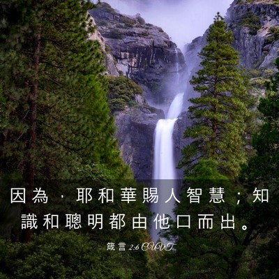 Picture 03 - 箴 言 2:6 CUVT - 因 為 ， 耶 和 華 賜 人 智 慧 ； 知 - Bible Verse Picture