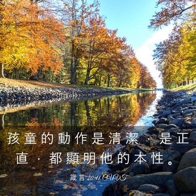 Picture 03 - 箴 言 20:11 CUVT - 孩 童 的 動 作 是 清 潔 ， 是 正 直 - Bible Verse Picture