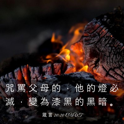 Picture 03 - 箴 言 20:20 CUVT - 咒 罵 父 母 的 ， 他 的 燈 必 滅 ， - Bible Verse Picture
