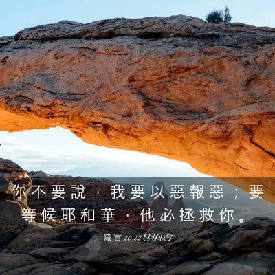 Picture 03 - 箴 言 20:22 CUVT - 你 不 要 說 ， 我 要 以 惡 報 惡 ； - Bible Verse Picture