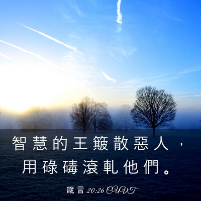 Picture 03 - 箴 言 20:26 CUVT - 智 慧 的 王 簸 散 惡 人 ， 用 碌 碡 - Bible Verse Picture