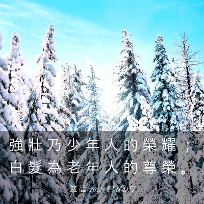 Picture 03 - 箴 言 20:29 CUVT - 強 壯 乃 少 年 人 的 榮 耀 ； 白 髮 - Bible Verse Picture