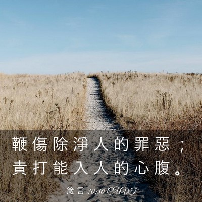 Picture 03 - 箴 言 20:30 CUVT - 鞭 傷 除 淨 人 的 罪 惡 ； 責 打 能 - Bible Verse Picture