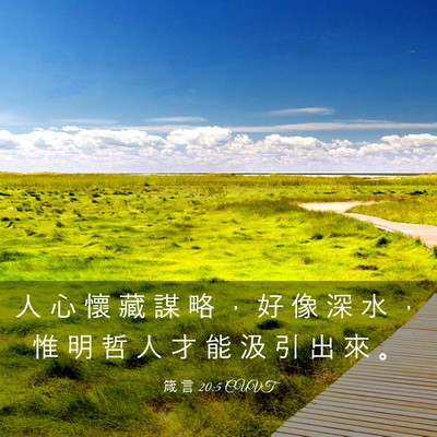 Picture 03 - 箴 言 20:5 CUVT - 人 心 懷 藏 謀 略 ， 好 像 深 水 ， - Bible Verse Picture