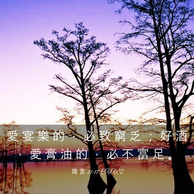Picture 03 - 箴 言 21:17 CUVT - 愛 宴 樂 的 ， 必 致 窮 乏 ； 好 酒 - Bible Verse Picture