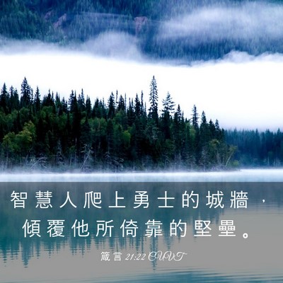 Picture 03 - 箴 言 21:22 CUVT - 智 慧 人 爬 上 勇 士 的 城 牆 ， 傾 - Bible Verse Picture