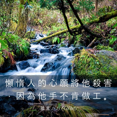 Picture 03 - 箴 言 21:25 CUVT - 懶 惰 人 的 心 願 將 他 殺 害 ， 因 - Bible Verse Picture