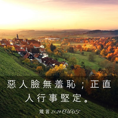 Picture 03 - 箴 言 21:29 CUVT - 惡 人 臉 無 羞 恥 ； 正 直 人 行 事 - Bible Verse Picture