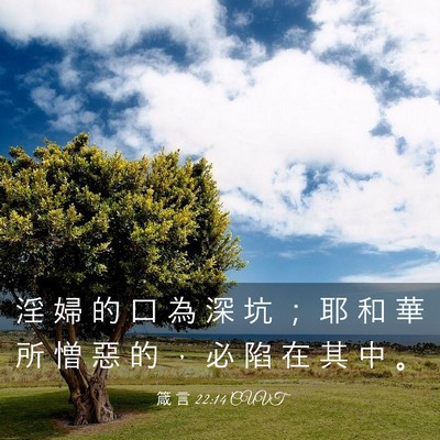 Picture 03 - 箴 言 22:14 CUVT - 淫 婦 的 口 為 深 坑 ； 耶 和 華 所 - Bible Verse Picture