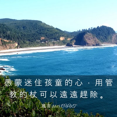 Picture 03 - 箴 言 22:15 CUVT - 愚 蒙 迷 住 孩 童 的 心 ， 用 管 教 - Bible Verse Picture