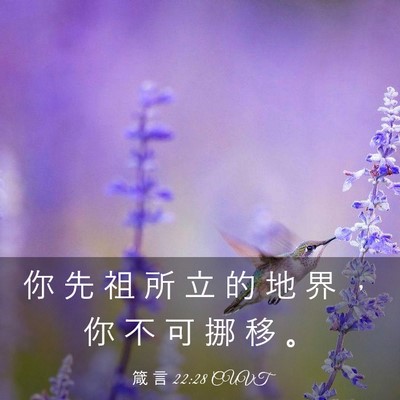 Picture 03 - 箴 言 22:28 CUVT - 你 先 祖 所 立 的 地 界 ， 你 不 可 - Bible Verse Picture