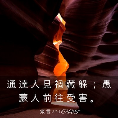 Picture 03 - 箴 言 22:3 CUVT - 通 達 人 見 禍 藏 躲 ； 愚 蒙 人 前 - Bible Verse Picture
