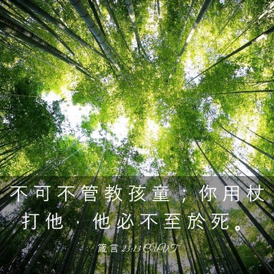 Picture 03 - 箴 言 23:13 CUVT - 不 可 不 管 教 孩 童 ； 你 用 杖 打 - Bible Verse Picture