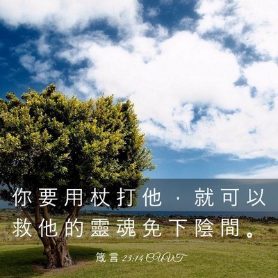Picture 03 - 箴 言 23:14 CUVT - 你 要 用 杖 打 他 ， 就 可 以 救 他 - Bible Verse Picture