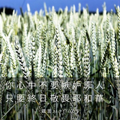 Picture 03 - 箴 言 23:17 CUVT - 你 心 中 不 要 嫉 妒 罪 人 ， 只 要 - Bible Verse Picture