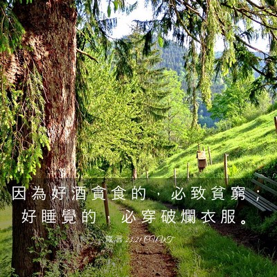 Picture 03 - 箴 言 23:21 CUVT - 因 為 好 酒 貪 食 的 ， 必 致 貧 窮 - Bible Verse Picture