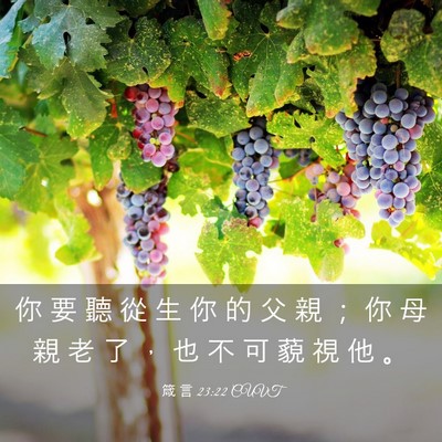 Picture 03 - 箴 言 23:22 CUVT - 你 要 聽 從 生 你 的 父 親 ； 你 母 - Bible Verse Picture