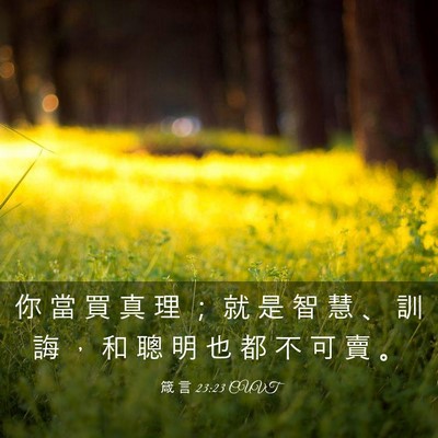 Picture 03 - 箴 言 23:23 CUVT - 你 當 買 真 理 ； 就 是 智 慧 、 訓 - Bible Verse Picture