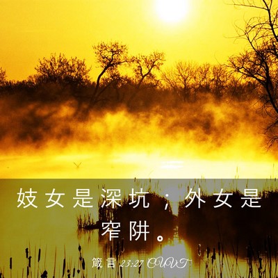 Picture 03 - 箴 言 23:27 CUVT - 妓 女 是 深 坑 ； 外 女 是 窄 阱 - Bible Verse Picture